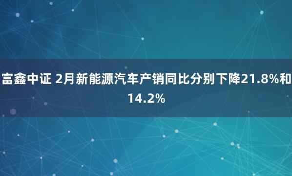 富鑫中证 2月新能源汽车产销同比分别下降21.8%和14.2%