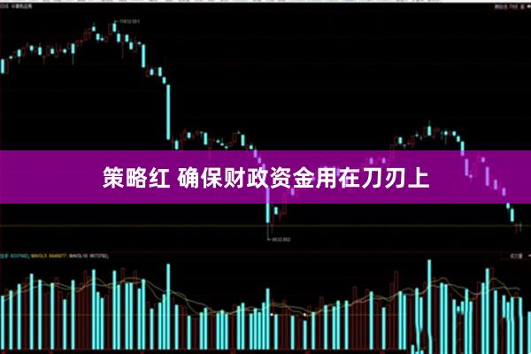 策略红 确保财政资金用在刀刃上